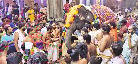 சிதம்பரம் நடராஜர் கோயிலில் மார்கழி மாத ஆருத்ரா தரிசன விழாவையொட்டி கஜபூஜை நடந்தது.