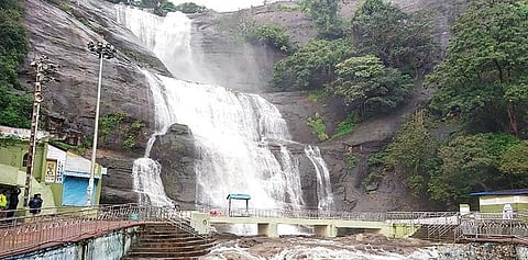 தொடர் மழை காரணமாக நீர்வரத்து அதிகரித்ததால் குற்றாலம் பிரதான அருவியில் குளிக்க தடை விதிக்கப்பட்டது. (வலது) திருநெல்வேலியில் நேற்று அதிகாலையில் இருந்தே விட்டுவிட்டு மழை பெய்தது. நேற்று மாலை 5 மணி தொடங்கி மழையில் குளிர்ந்தது மாநகரம். பெருமாள்புரம் 60 அடி சாலையில் மழையில் விரைந்த வாகனங்கள். படம்: மு.லெட்சுமி அருண்