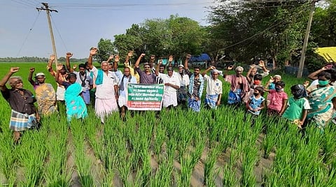 தஞ்சாவூர் மாவட்டம் முல்லைக்குடியில் விவசாயிகள் இன்று புத்தாண்டு தினத்தை கருப்பு தினமாக கடைப்பிடித்து மத்திய அரசை கண்டித்து வயலில் இறங்கி முழக்கங்களை எழுப்பினர்.