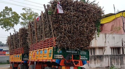 தஞ்சாவூர் அருகே மூவர் பலியாவதற்கு காரணமான கரும்பு ஏற்றி வந்த டிராக்டர் டிரெய்லர்கள்.