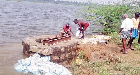 புதுக்கோட்டை மாவட்டம் திருவரங்குளம் அருகே வல்லநாட்டில் கரையில் ஏற்பட்ட உடைப்பை தற்காலிகமாக சீரமைக்கும் பணியில் நேற்று ஈடுபட்ட விவசாயிகள்.