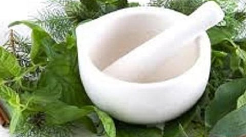 சித்த மருத்துவர்களின் வாரிசுகளுக்கு அங்கீகாரம்?- சுகாதாரத்துறை செயலர் பதிலளிக்க உத்தரவு