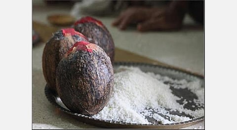 அகந்தை, ஆணவம்; நெய் தேங்காய் தத்துவம்! -ஐயப்ப பாடகர் வீரமணி ராஜூ விளக்கம் 