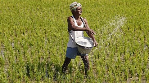 கோப்புப் படம்.