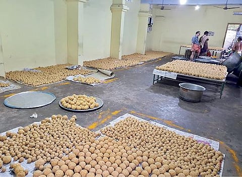 ஆஞ்சநேயர் ஜெயந்தி விழாவுக்கு வரும் பக்தர்களுக்கு வழங்குவதற்காக சுசீந்திரம்  கோயிலில் லட்டு தயார் செய்யும் பணி  நடைபெற்றது.