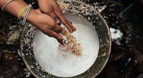 பொங்கல் திருநாள்; கூடுவோம் கொண்டாடுவோம்;  பொங்கல் வைக்கும் நேரம் இதுதான்! 