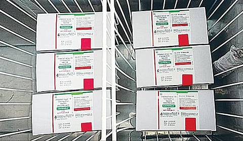 விருதுநகர் மாவட்ட ஆட்சியர் அலுவலகம் முன் உள்ள தடுப்பூசி பாதுகாப்பு மையத்தில் வைக்கப்பட்டுள்ள கோவிஷீல்டு கரோனா தடுப்பூசி.