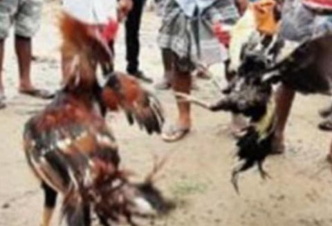 பிரதிநிதித்துவப் படம்.