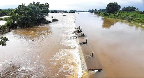 பாபநாசம், மணிமுத்தாறு அணைகளில் இருந்து பெருமளவு தண்ணீர் திறந்து விடப்படுவதால் நேற்று 8-வது நாளாக தாமிரபரணியில் வெள்ளப்பெருக்கு நீடித்தது. சுத்தமல்லியில்  உள்ள தடுப்பணையை தாண்டி ஆற்றில் தண்ணீர் பாய்கிறது. (வலது) தாமிரபரணி ஆற்றில் ஏற்பட்ட வெள்ளப்பெருக்கால் சேரன்மகாதேவி அருகே சங்கன்திரடு பகுதியில் உள்ள வயல்களில் தண்ணீர் புகுந்து நெற்பயிர்கள் மூழ்கின.படங்கள்: மு.லெட்சுமி அருண்