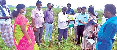 மேலநீலிதநல்லூர் வட்டாரத்தில் தொடர் மழையால் ஏற்பட்ட பயிர் சேதத்தை வேளாண் அதிகாரிகள் குழுவினர் ஆய்வு செய்தனர்.