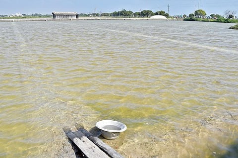 தூத்துக்குடி பகுதியில் மழை வெள்ளத்தில் மூழ்கியுள்ள உப்பளங்கள். 				 படம்: என்.ராஜேஷ்