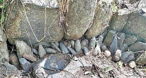 ஜவ்வாதுமலைக்கு உட்பட்ட கிளானூரில் கண்டெடுக்கப்பட்ட புதிய கற்கால கருவிகள்.