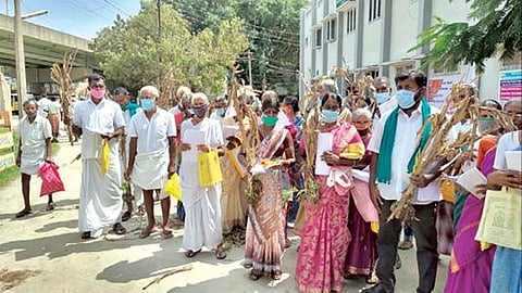 மழையில் சேதமடைந்த மக்காச்சோளப் பயிர்களுடன்  தென்காசி மாவட்ட ஆட்சியர் அலுவலகத்துக்கு மனு அளிக்க வந்த விவசாயிகள்.