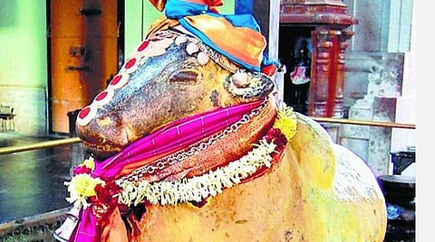 திருவாதிரையும் பிரதோஷமும் இணைந்தநாள்; தென்னாடுடைய சிவனே போற்றி