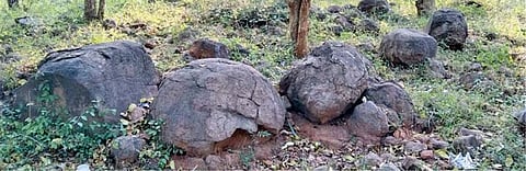 செங்கல்பட்டு அருகே புலிப்பாக்கம் பகுதியில் உள்ள முதுமக்கள் தாழி.