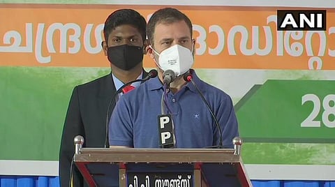 கல்பேட்டா நகரில் நடந்த கூட்டத்தில் காங்கிரஸ் எம்.பி. ராகுல் காந்தி பேசிய காட்சி: படம் | ஏஎன்ஐ.