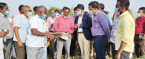 எட்டயபுரம் வட்டம் குமாரகிரி மாதாபுரத்தில் மழையால் சேதமடைந்த பயிர்களை மத்திய குழுவினர் ஆய்வு செய்தனர்.