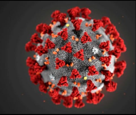 பிரதிநிதித்துவப் படம்