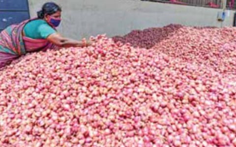 திண்டுக்கல் வெங்காய மார்க்கெட்டில் விற்பனைக்கு வந்த சின்ன வெங்காயம்.