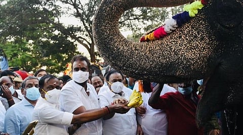 கோவை மேட்டுப்பாளையத்தில் யானைகள் நலவாழ்வு முகாம் தொடக்கம்: 26 யானைகள் கலந்து கொண்டன- 48 நாட்கள் நடக்கின்றன