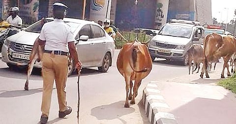 கே.ஷ்யாம்சுந்தர்