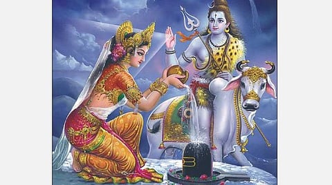 தை பிரதோஷம்... சிவனாருக்கு வில்வம்! 