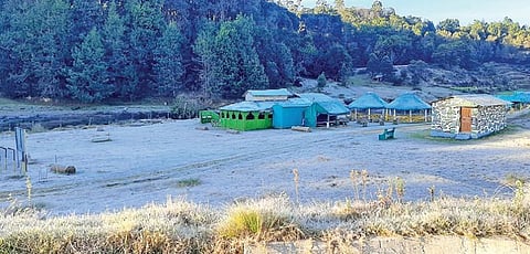 கொடைக்கானல் மேல்மலைப் பகுதியான மன்னவனூரில் அதிக பனிப்பொழிவால், வெண்மையாகக் காட்சியளிக்கும் புல்வெளிகள்.