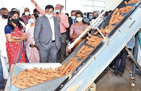 காய்கறிகள் பதப்படுத்தும் மையத்தில் நபார்டு வங்கித் தலைவர் ஆய்வு