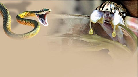 பிரதிநிதித்துவப் படம்.