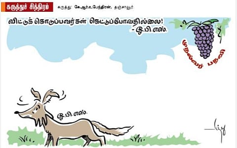 இந்தப் பழம் புளிக்கும்!!