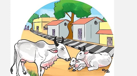 பிரதிநிதித்துவப் படம்.