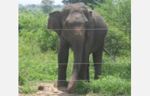 பிரதிநிதித்துவப் படம்.