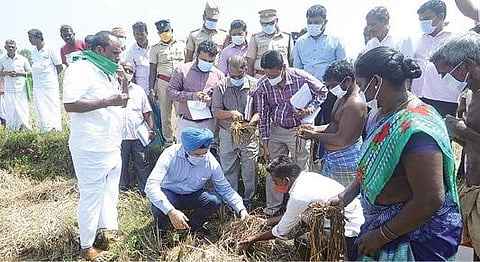 கடலூர் அருகே உள்ள குமளம்குளம் பகுதியில் மழையால் நெல் பயிர் சேதமடைந் துள்ளதை மாவட்ட கண்காணிப்பு அலுவலர் ககன்தீப் சிங் பார்வையிட்டு ஆய்வு செய்தார். அருகில் மாவட்ட ஆட்சியர் சந்திரசேகர் சாகமூரி.