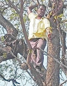 மரத்தில் ஏறி தற்கொலைக்கு முயன்ற தமிழரசன்.