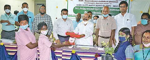 குண்டடம் அரசு மாதிரிப் பள்ளியில் மாணவர்களிடையே  ஊட்டச்சத்து தோட்டத்தை பிரபலப்படுத்தும் திட்டம் தொடக்கம்