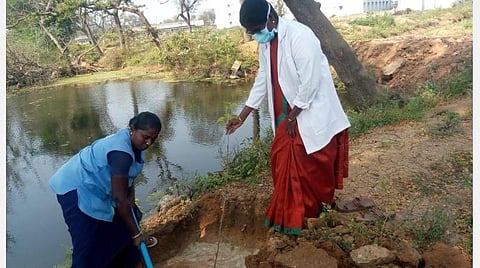 புதுக்கோட்டை அரசு மருத்துவக் கல்லூரி வளாகத்தில் மரக்கன்று நடுகிறார் அக்கல்லூரியின் முதல்வர் எம்.பூவதி.