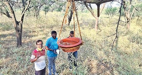 கோடை வெயிலை சமாளிக்க வீடருகே உள்ள பறவைகளுக்கு தண்ணீர் வைக்க வேண்டுகோள்