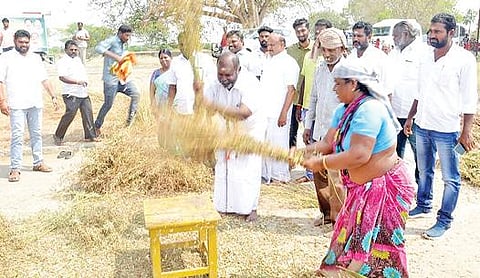 விவசாயக் களத்தில் துவரைக் கதிர் அடித்த அமைச்சர் ஆர்.பி.உதயகுமார்.