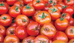 தக்காளி ரூ.5-க்கு விற்பனை :  விவசாயிகள் வேதனை