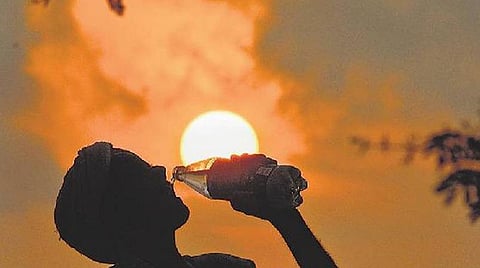 சென்னை, வேலூர் உட்பட 12 நகரங்களில் 100 டிகிரிக்கு மேல் வெயில் பதிவு