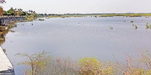 நாமக்கல் அருகே துறையூர் சாலையில் அமைந்துள்ள தூசூர் ஏரி.