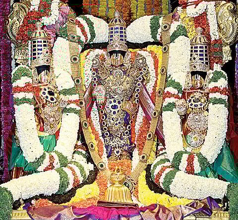 சிறப்பு அலங்காரத்தில் மலையப்ப சுவாமி.