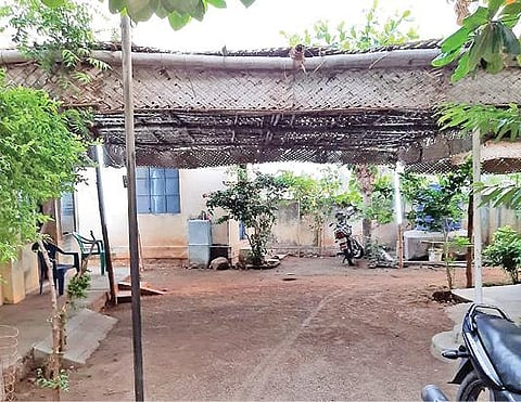 வாடிப்பட்டி அருகே பெருமாள்பட்டியில் வாக்காளர்களுக்காக வாக்குச்சாவடி மையத்தில்  அமைக்கப்பட்ட தென்னங்கீற்று பந்தல்.