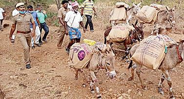 நத்தம் தொகுதிக்கு உட்பட்ட மலையூர் மலைக் கிராமத்துக்கு போக்குவரத்து வசதி இல்லாததால் துப்பாக்கி ஏந்திய போலீஸார் பாதுகாப்புடன் குதிரையில் கொண்டு செல்லப்பட்ட வாக்குப்பதிவு இயந்திரங்கள். (அடுத்த படம்) தருமபுரி மாவட்டம் கோட்டூர் மலைக் கிராமத்துக்கு கழுதை மீது கொண்டு செல்லப்பட்ட வாக்குப்பதிவு இயந்திரங்கள்.