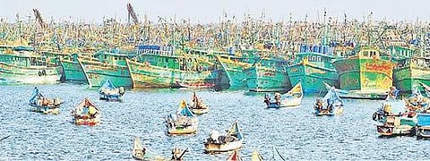 மீன்பிடித் தடைக்காலத்தில்  -  33 ஆயிரம்  மீனவர்களுக்கு தடைக்கால நிவாரணம் :