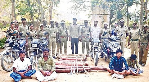 சந்தவாசல் அருகே செம்மர கட்டைகளை கடத்தியதாக 4 பேரை வனத்துறையினர் கைது செய்தனர்.