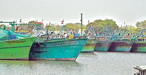 போதுமான மீன்பாடு இல்லாததால் கடலுக்கு செல்லாமல் தூத்துக்குடி மீன்பிடித் துறைமுகத்தில் விசைப்படகுகள் நிறுத்தி வைக்கப்பட்டுள்ளன.  இதனால் மீன்கள் விலை அதிகரித்துள்ளது.				             படம்: என்.ராஜேஷ்