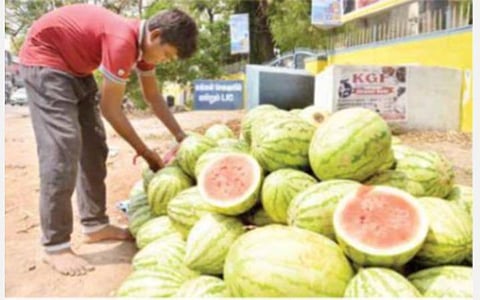 நெல்லையில் வெயிலின் தாக்கம் அதிகரிப்பு: இளநீர், தர்பூசணி, நுங்கு விற்பனை மும்முரம்