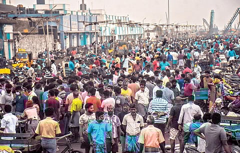 ஞாயிற்றுக்கிழமை தினமான நேற்று கரோனா தொற்று அச்சமின்றி, சமூக இடைவெளியைப் பின்பற்றாமல் சென்னை காசிமேடு மீன்பிடித் துறைமுகத்தில் மீன்கள் வாங்க கூட்டமாகத் திரண்ட வியாபாரிகள் மற்றும் அசைவப் பிரியர்கள். படம்: பு.க.பிரவீன்