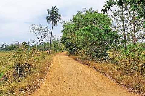 ஜல்லிகள் சிதறி, செம்மண் சாலையாக காட்சியளிக்கும் குமராட்சி- கீழப்பருத்திக்குடி இணைப்புச் சாலை.